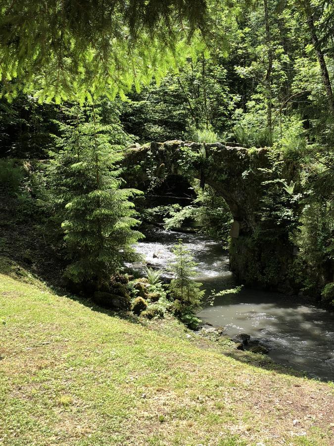 Le Moulin Des Olirics Vila Sallanches Exterior foto
