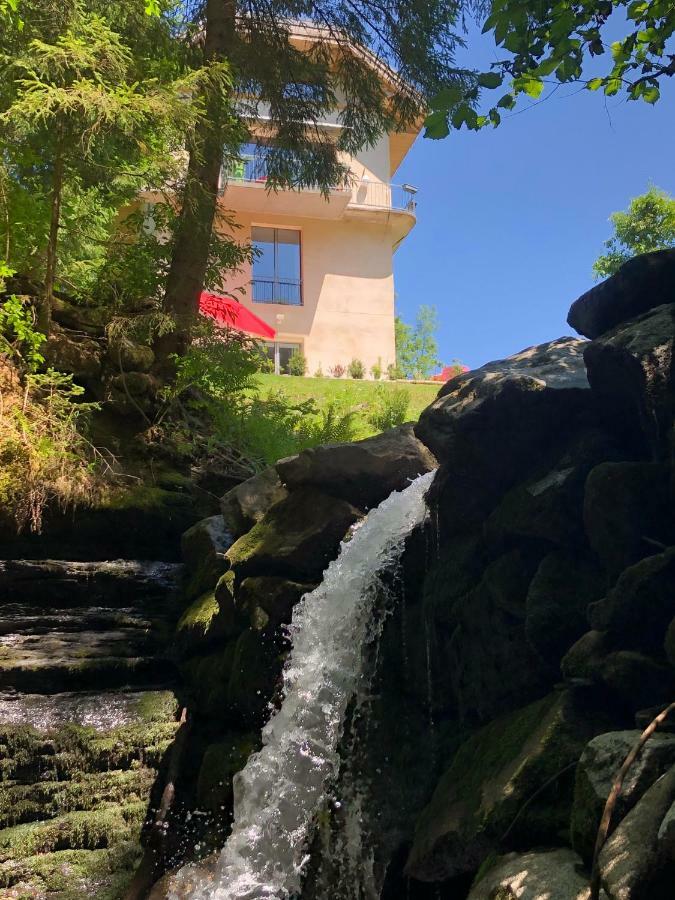 Le Moulin Des Olirics Vila Sallanches Exterior foto
